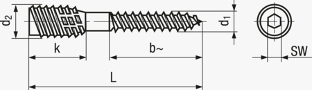 BN 20920 Hex socket TOP-spacer screws