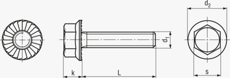 BN 80007 Serrated hex flange head cap screws