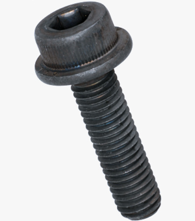 BN 1392 Hex socket head cap screws with flange partially / fully threaded
