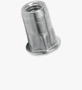 BN 25011 TUBTARA® HUPO/HSPO (HUT/316F) Blind rivet nuts flat head, semi-hexagonal shank, open end