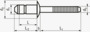 BN 21434 FASTEKS® FBR FBUD…STST Blindniete F-Bulb Flachrundkopf
